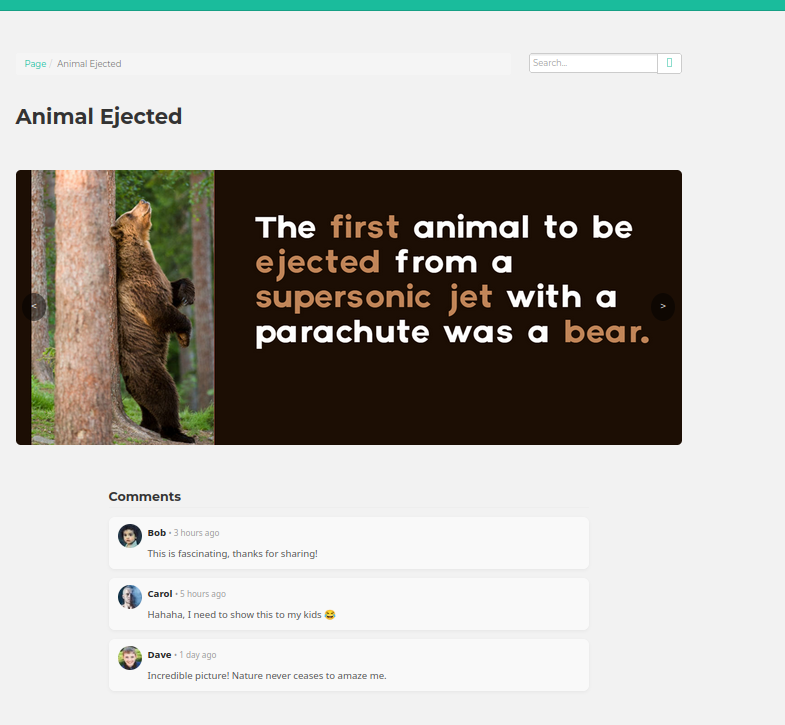 Trivia Page
