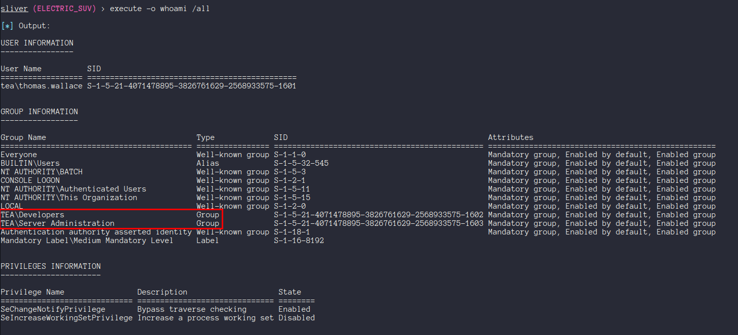 whoami /all output